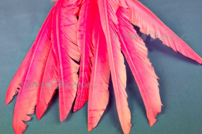 Декоративный Пучок из перьев, перо 25см/розовый - купить в Каменске-Шахтинском. Цена: 14.40 руб.