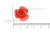 Украшение "Розы малые №1" 20мм - купить в Каменске-Шахтинском. Цена: 32.49 руб.