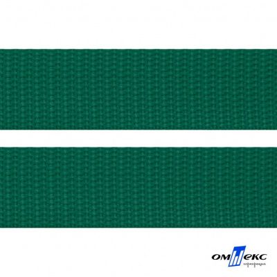 Зелёный- цв.876 -Текстильная лента-стропа 550 гр/м2 ,100% пэ шир.20 мм (боб.50+/-1 м) - купить в Каменске-Шахтинском. Цена: 318.85 руб.