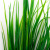 Трава искусственная -2, шт (осока 41см/8 см)				 - купить в Каменске-Шахтинском. Цена: 104.57 руб.