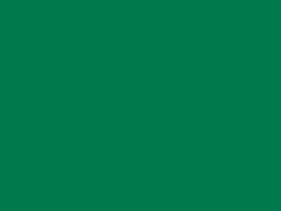 85 см № 258 яр. зеленый спираль (G) сорт-2 - купить в Каменске-Шахтинском. Цена: 16.97 руб.
