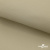 Ткань подкладочная TWILL 230T 14-1108, беж светлый 100% полиэстер,66 г/м2, шир.150 cм - купить в Каменске-Шахтинском. Цена 90.59 руб.