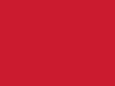 Сетка подкладочная красный, 60г/м2 (10 м/кг) - купить в Каменске-Шахтинском. Цена 885.73 руб.