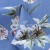 Плательная ткань "Фламенко" 12.1, 80 гр/м2, шир.150 см, принт растительный - купить в Каменске-Шахтинском. Цена 241.49 руб.