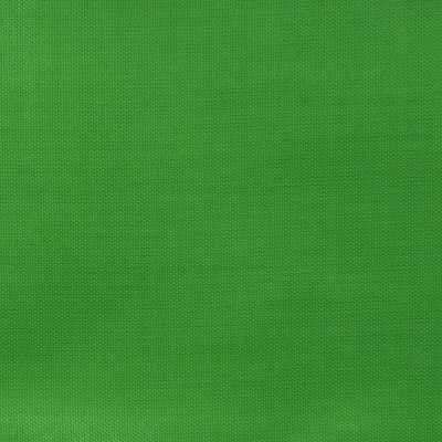 Ткань подкладочная Таффета 17-6153, 48 гр/м2, шир.150см, цвет трава - купить в Каменске-Шахтинском. Цена 54.64 руб.