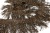 008-коричневый, Бахрома арт.001 шир.10см (упак.12+/-0,5м) - купить в Каменске-Шахтинском. Цена: 1 017.33 руб.