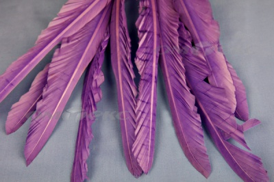 Декоративный Пучок из перьев, перо 25см/фиолетовый - купить в Каменске-Шахтинском. Цена: 12.19 руб.