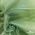Ткань органза, 100% полиэстр, 28г/м2, шир. 150 см, цв. #27 зеленый - купить в Каменске-Шахтинском. Цена 86.24 руб.