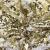 Трикотажное полотно, Сетка с пайетками, шир.130 см, #315, цв.-белый/золото - купить в Каменске-Шахтинском. Цена 693.39 руб.